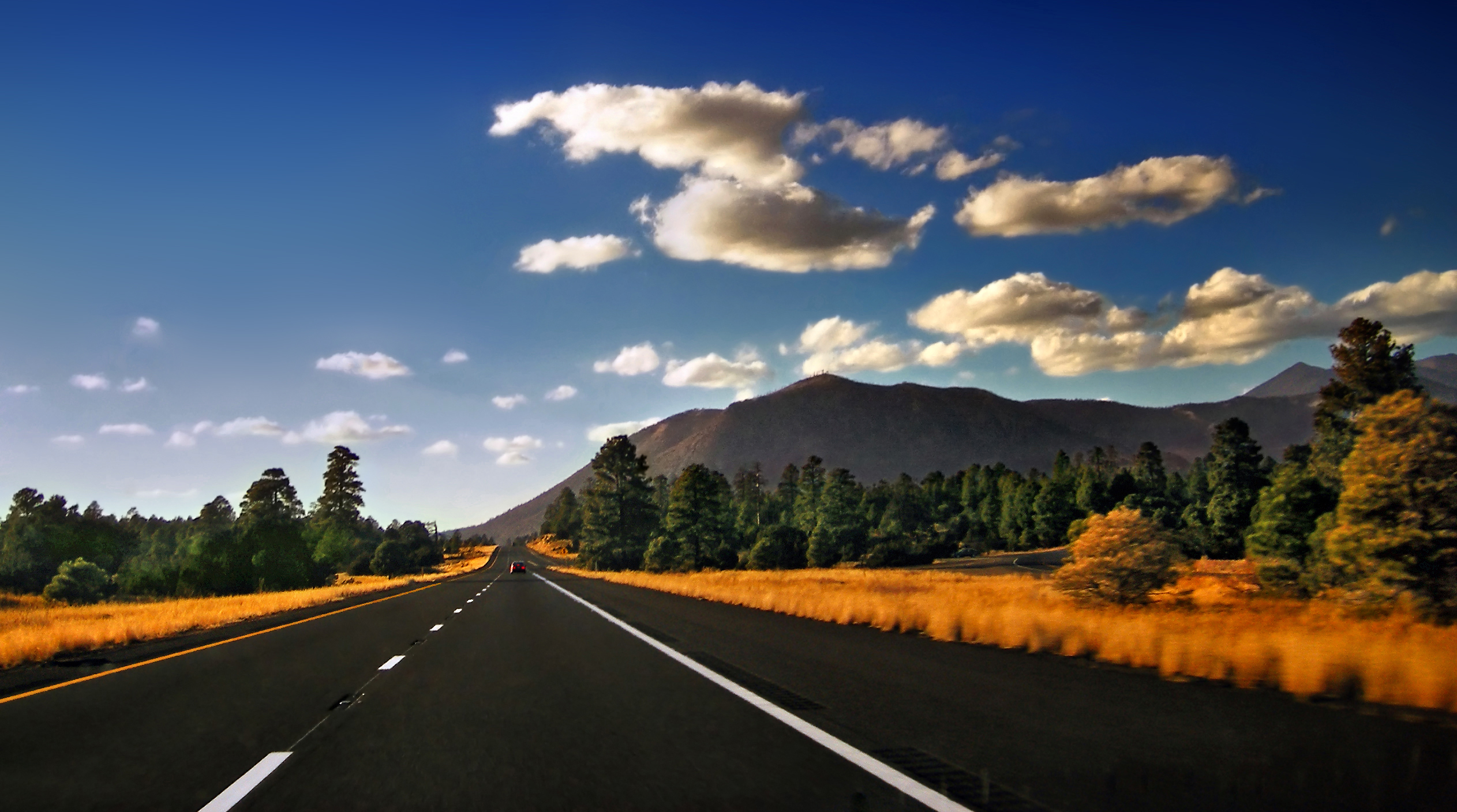 Moving to Flagstaff or surounding areas?